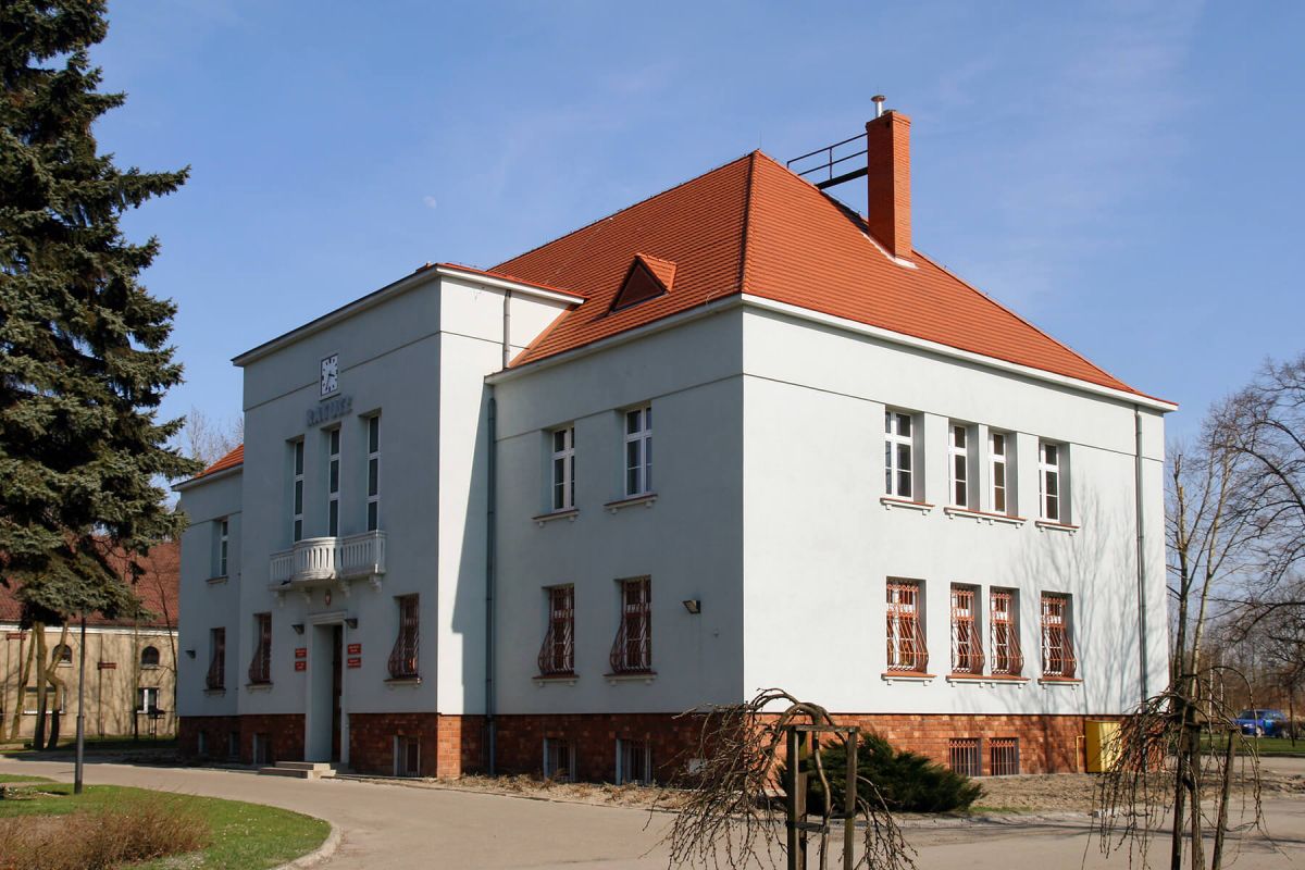 Ilustracja artykułu