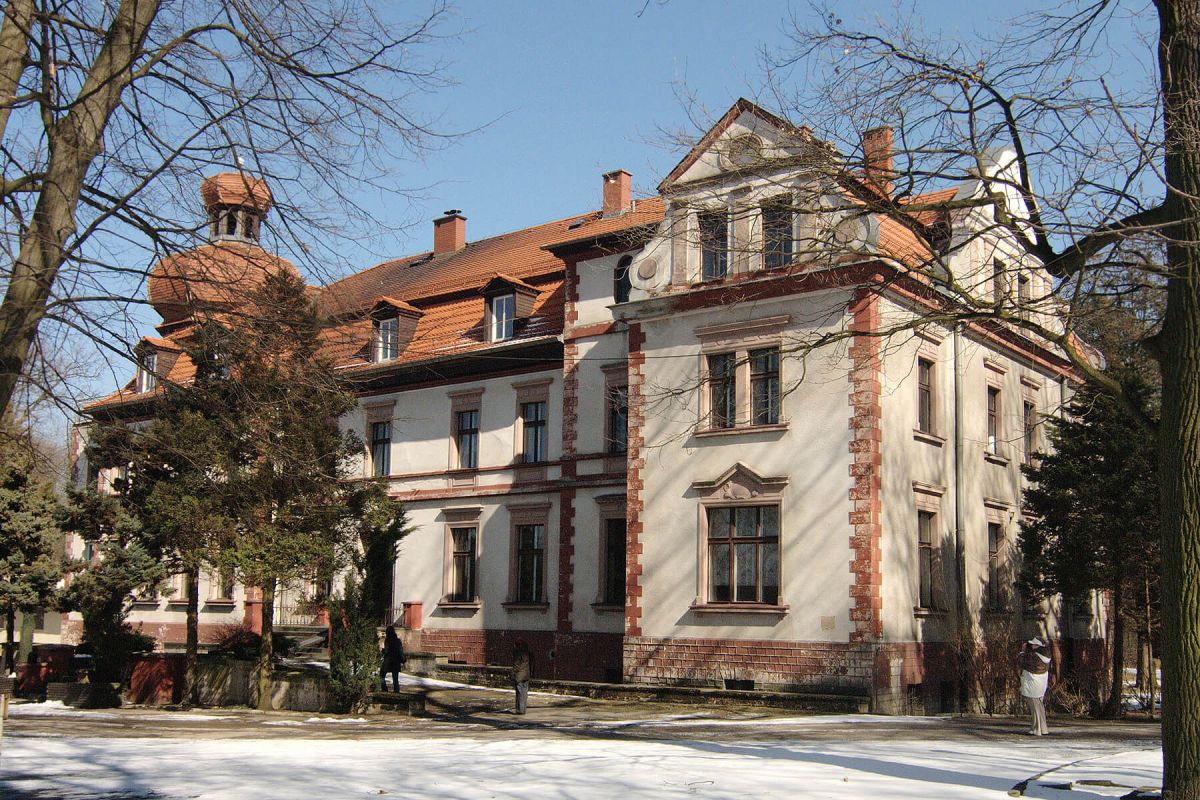 Ilustracja artykułu