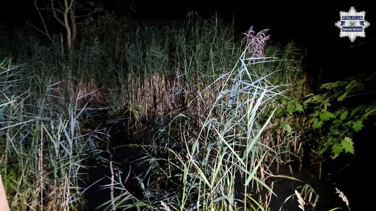 Ilustracja artykułu: Uciekł przed napastnikami do lasu. Utknął w bagnie