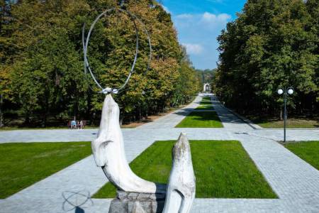 Nie tylko remont Żyrafy, ale całej Alei! Metamorfoza za 10 mln zł