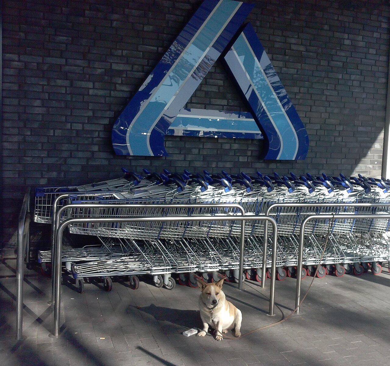 Najnowsza gazetka sklepu Aldi